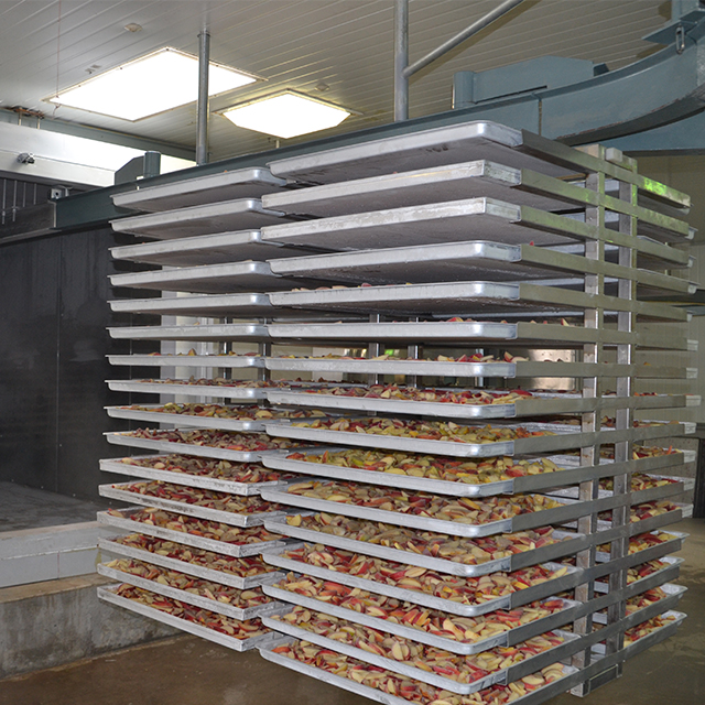 ltdg freeze dryer3