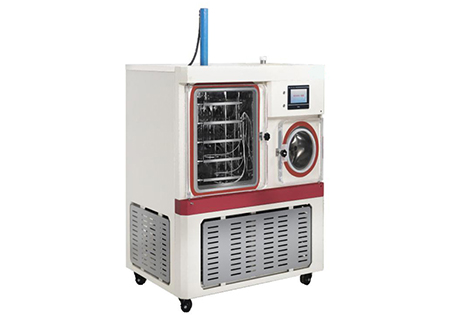 LTDG-100/200 Series Pilot Freeze Dryer